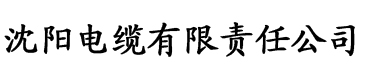 久久伊人成电缆厂logo